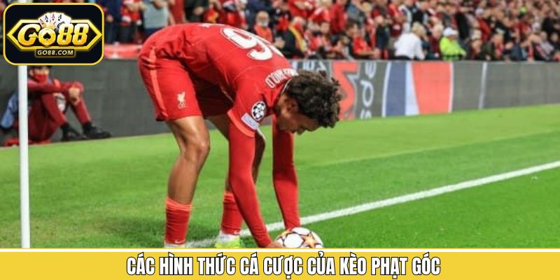 Khám phá các loại kèo cược phạt góc phổ biến nhất tại Go88