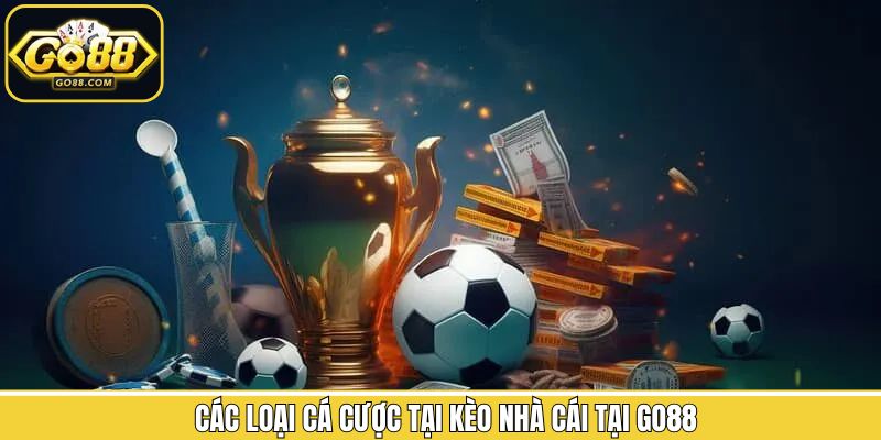 Một số kiểu cược phổ biến tại nhà cái