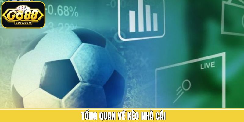 Sơ lược về loại kèo thú vị tại nhà cái cho người dùng