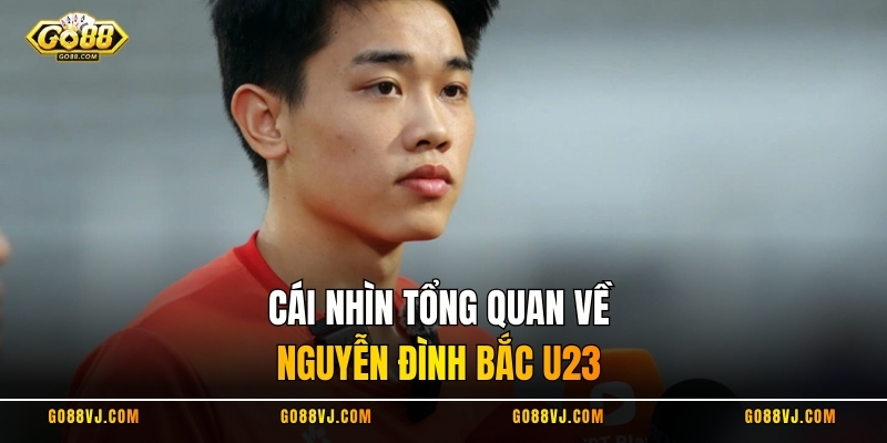 Cái nhìn tổng quan về Nguyễn Đình Bắc U23
