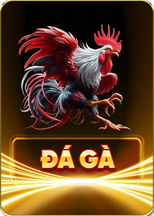 đá gà go88