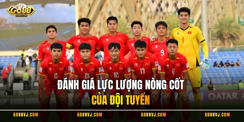 Đánh giá lực lượng nòng cốt của đội tuyển