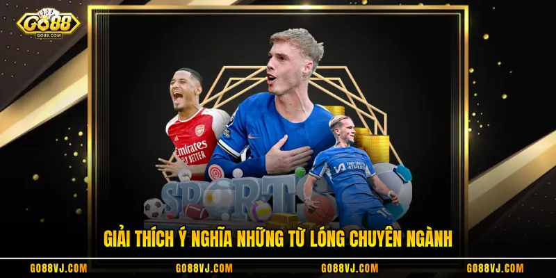 Giải thích ý nghĩa những từ lóng chuyên ngành