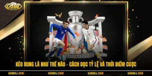 Kèo Rung Là Như Thế Nào - Cách Đọc Tỷ Lệ Và Thời Điểm Cược
