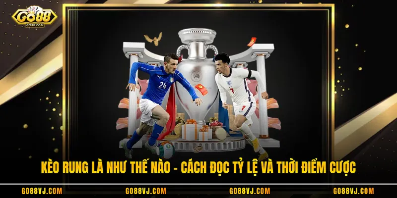Kèo Rung Là Như Thế Nào - Cách Đọc Tỷ Lệ Và Thời Điểm Cược