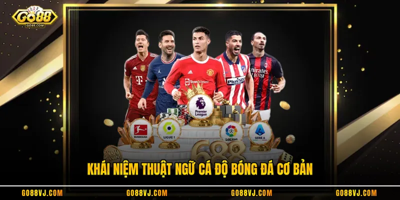 Khái niệm thuật ngữ cá độ bóng đá cơ bản