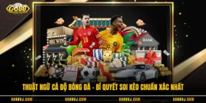 Thuật Ngữ Cá Độ Bóng Đá - Bí Quyết Soi Kèo Chuẩn Xác Nhất