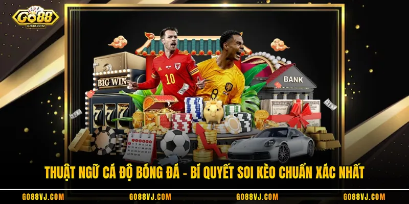 Thuật Ngữ Cá Độ Bóng Đá - Bí Quyết Soi Kèo Chuẩn Xác Nhất